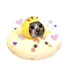 meowの農場（個別スタンプ：28）
