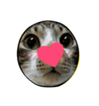 meowの農場（個別スタンプ：31）