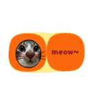 meowの農場（個別スタンプ：33）