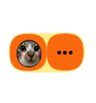 meowの農場（個別スタンプ：34）