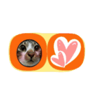 meowの農場（個別スタンプ：35）