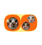 meowの農場（個別スタンプ：36）