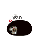 meowの農場（個別スタンプ：37）