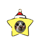 meowの農場（個別スタンプ：40）