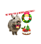 うさうさずのクリスマス（個別スタンプ：2）