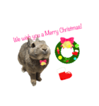 うさうさずのクリスマス（個別スタンプ：4）
