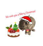 うさうさずのクリスマス（個別スタンプ：5）