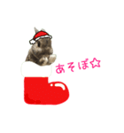 うさうさずのクリスマス（個別スタンプ：9）