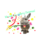 うさうさずのクリスマス（個別スタンプ：11）