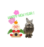 うさうさずのクリスマス（個別スタンプ：14）