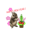 うさうさずのクリスマス（個別スタンプ：16）
