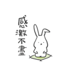 A Rabbit called Pan-Pan（個別スタンプ：11）