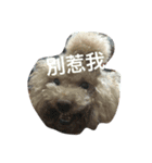 Bad bad dog（個別スタンプ：4）