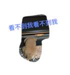 Bad bad dog（個別スタンプ：7）