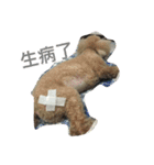 Bad bad dog（個別スタンプ：8）