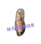 Bad bad dog（個別スタンプ：9）