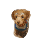 Bad bad dog（個別スタンプ：15）
