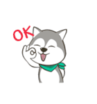 Husky Dog (Animated)（個別スタンプ：2）