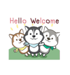 Husky Dog (Animated)（個別スタンプ：3）