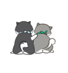 Husky Dog (Animated)（個別スタンプ：5）