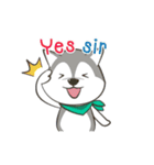 Husky Dog (Animated)（個別スタンプ：6）