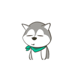 Husky Dog (Animated)（個別スタンプ：7）