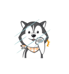 Husky Dog (Animated)（個別スタンプ：8）