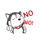 Husky Dog (Animated)（個別スタンプ：9）