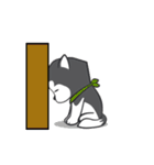 Husky Dog (Animated)（個別スタンプ：10）