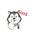 Husky Dog (Animated)（個別スタンプ：13）