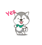 Husky Dog (Animated)（個別スタンプ：14）