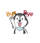 Husky Dog (Animated)（個別スタンプ：16）