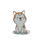 Husky Dog (Animated)（個別スタンプ：17）