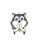 Husky Dog (Animated)（個別スタンプ：19）