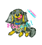 Fun illustrations of cat and dog.（個別スタンプ：4）