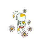 Fun illustrations of cat and dog.（個別スタンプ：9）
