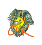 Fun illustrations of cat and dog.（個別スタンプ：12）