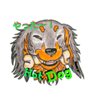 Fun illustrations of cat and dog.（個別スタンプ：16）