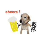 犬のNさん 3（個別スタンプ：1）