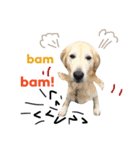犬のNさん 3（個別スタンプ：9）