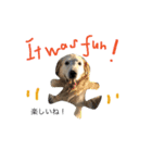 犬のNさん 3（個別スタンプ：12）