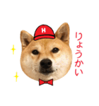 白い犬の犬仲間（個別スタンプ：6）