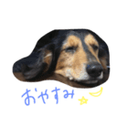 つくしくん（個別スタンプ：4）