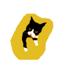 みぃと。（個別スタンプ：2）