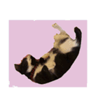 みぃと。（個別スタンプ：9）