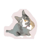 みぃと。（個別スタンプ：11）