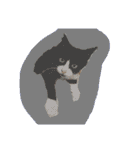 みぃと。（個別スタンプ：19）