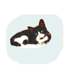 みぃと。（個別スタンプ：20）