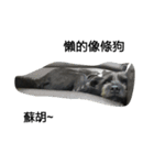 Whity dog（個別スタンプ：3）
