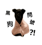 Whity dog（個別スタンプ：7）